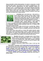 Referāts 'Garšvielas un garšaugi', 17.