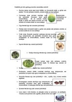 Referāts 'Garšvielas un garšaugi', 25.