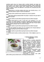 Referāts 'Garšvielas un garšaugi', 28.