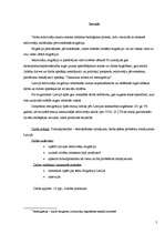 Referāts 'Migrācijas procesi Latvijā', 2.