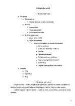 Referāts 'Migrācijas procesi Latvijā', 5.