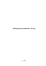 Eseja 'Global Marketing Strategies', 1.