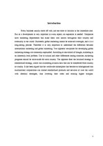 Eseja 'Global Marketing Strategies', 3.