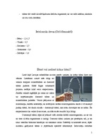 Referāts 'Ūdens nozīme cilvēka organismā', 5.