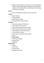 Referāts 'Vitamīnu nozīme un ietekme mūsu organismā', 4.