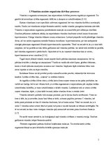 Referāts 'Vitamīnu nozīme un ietekme mūsu organismā', 5.