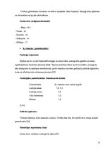 Referāts 'Vitamīnu nozīme un ietekme mūsu organismā', 13.