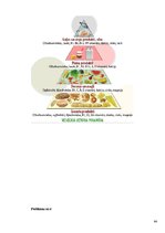 Referāts 'Vitamīnu nozīme un ietekme mūsu organismā', 44.