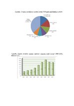Referāts 'Tūrisma nozares attīstības iespējas', 1.
