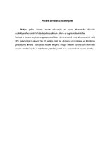 Referāts 'Tūrisma nozares attīstības iespējas', 5.