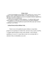 Referāts 'Tūrisma nozares attīstības iespējas', 9.