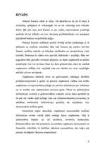 Referāts 'SIA "Daina"', 1.