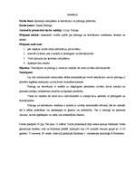 Referāts 'Ķermeņa izdaiļošana ar tetovējumu un pīrsingu palīdzību', 22.