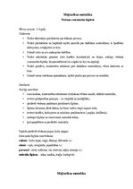 Referāts 'Eksāmena darbs mājturības metodikā', 2.