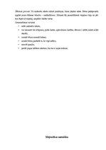 Referāts 'Eksāmena darbs mājturības metodikā', 6.