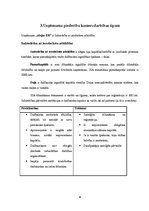 Prakses atskaite 'Prakse atskaite', 6.