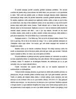 Eseja 'Reklāmas ziņojuma analīze', 2.