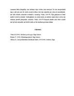 Eseja 'Reklāmas ziņojuma analīze', 3.