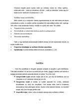 Referāts 'Sociāla institūta un sociālas institūcijas raksturojums', 15.