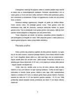 Referāts 'Fotoportrets', 4.