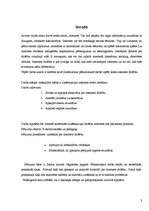 Referāts 'Drošība internetā', 3.