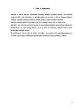 Referāts 'Drošība internetā', 4.