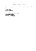 Referāts 'Drošība internetā', 8.