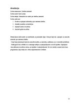 Referāts 'Drošība internetā', 19.