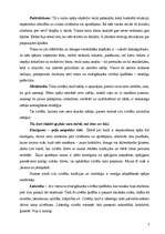 Eseja 'Personības īpašības, spējas un prasmes, kas nodrošina iespēju dzīvot pilnvērtīgu', 3.