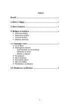 Konspekts 'Reliģija un kultūra', 2.