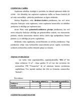 Referāts 'Biznesa plāna svarīgākās daļas', 1.