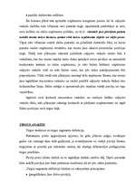 Referāts 'Biznesa plāna svarīgākās daļas', 3.