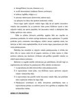 Referāts 'Biznesa plāna svarīgākās daļas', 4.