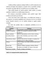 Referāts 'Biznesa plāna svarīgākās daļas', 5.