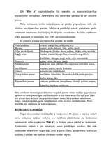 Referāts 'Biznesa plāna svarīgākās daļas', 6.