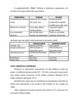 Referāts 'Biznesa plāna svarīgākās daļas', 7.