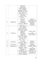 Referāts 'Andrejs Pumpurs "Lāčplēsis"', 6.