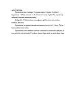 Diplomdarbs 'Skolēnu informācijas tehnoloģiju zināšanu testēšana', 2.