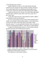 Diplomdarbs 'Skolēnu informācijas tehnoloģiju zināšanu testēšana', 13.