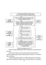 Diplomdarbs 'Skolēnu informācijas tehnoloģiju zināšanu testēšana', 20.