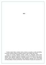 Biznesa plāns 'Tūrisma aģentūra "Adventurs"', 13.