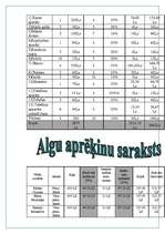 Biznesa plāns 'Tūrisma aģentūra "Adventurs"', 19.