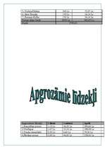 Biznesa plāns 'Tūrisma aģentūra "Adventurs"', 21.