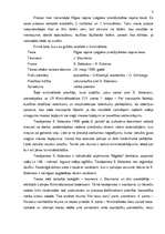 Prakses atskaite 'Rīgas rajona Latgales priekšpilsētas rajona tiesa', 3.