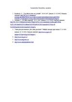 Referāts 'Bērnu pazušanas likumsakarības Latvijā', 6.