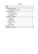 Referāts 'Ēģiptes piramīdas', 2.