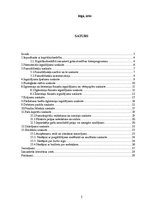 Prakses atskaite 'Prakses atskaite', 2.