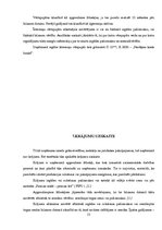 Prakses atskaite 'Prakses atskaite', 13.