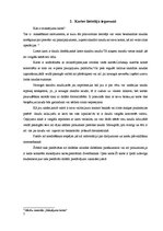 Referāts 'Norēķini ar maksājuma kartēm interneta vidē', 5.