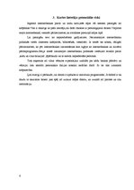 Referāts 'Norēķini ar maksājuma kartēm interneta vidē', 6.